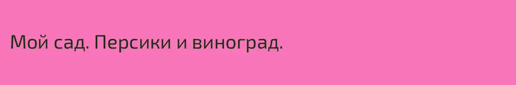 Мой сад. Персики и виноград.